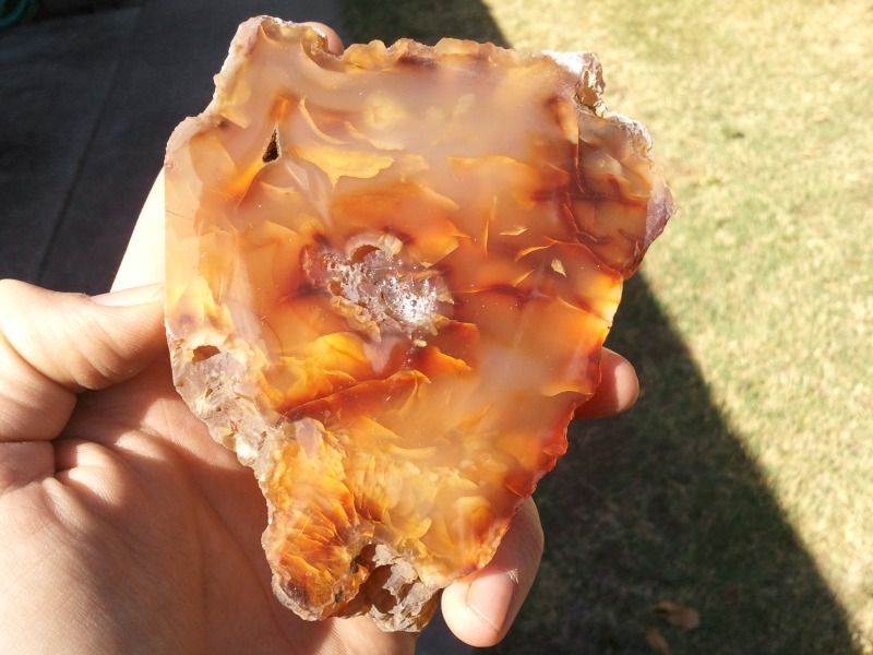 2012-09-12103756.jpg