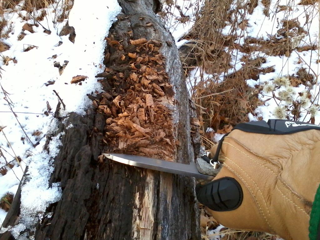 Photo0226_zpsed7ak90n.jpg