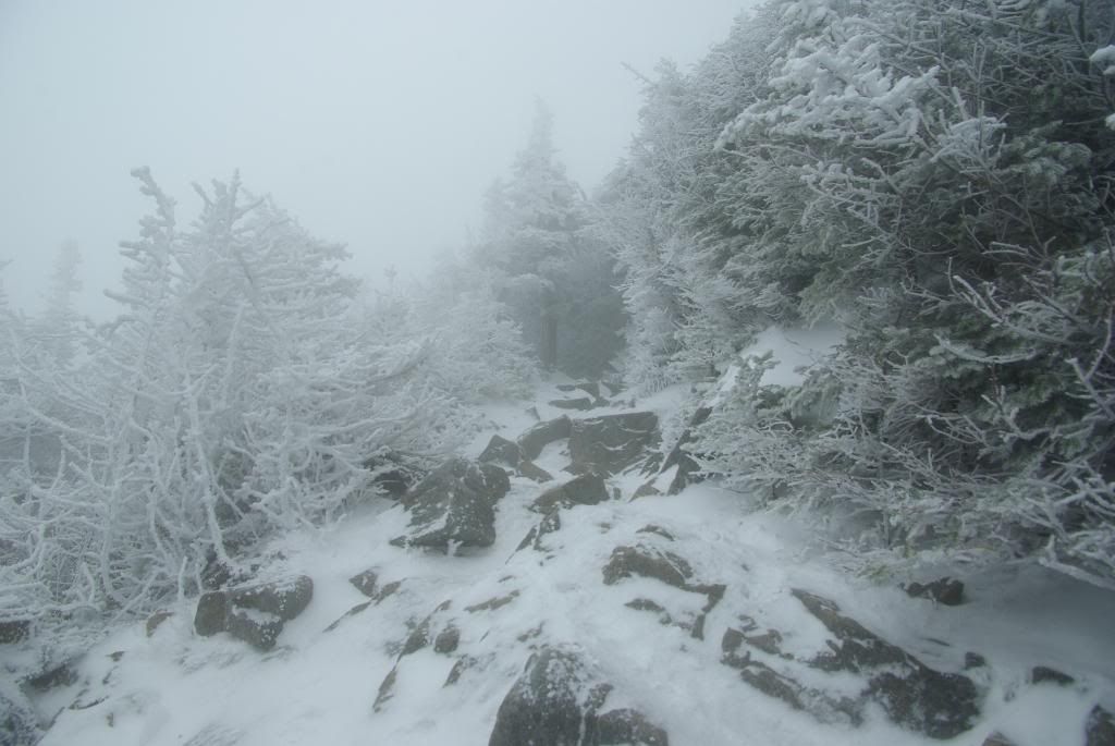 MtLafayette118.jpg