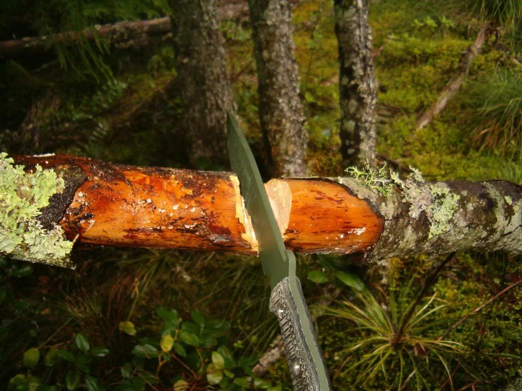 HPIM0568.jpg