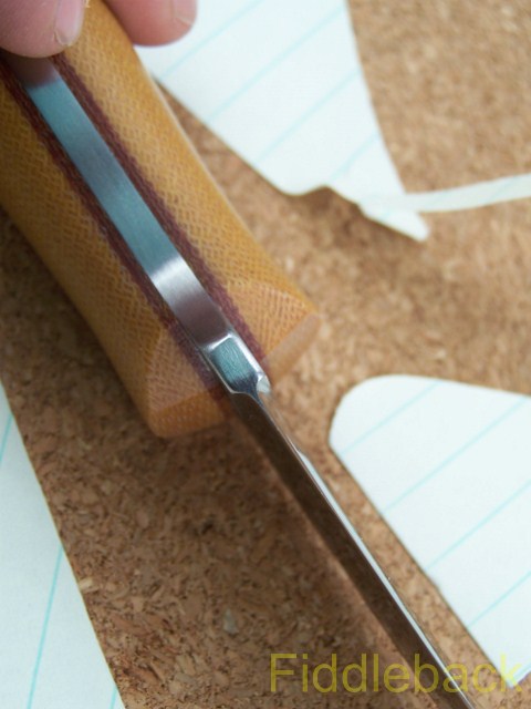 20110819102_4427-vi.jpg