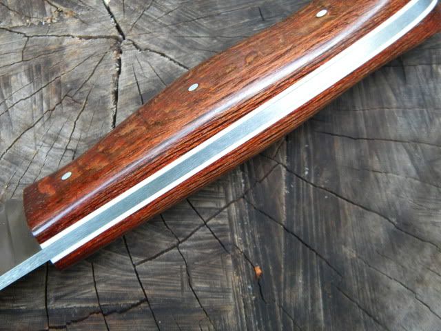 DSCN1665.jpg