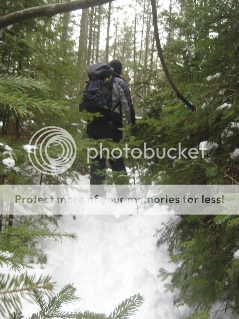 IMG_0135_zps67ba2994.jpg