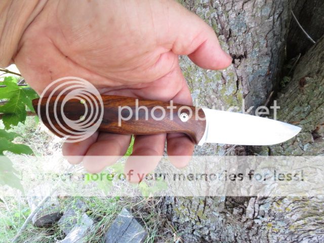 IMG_2004_zpsfab4ac46.jpg