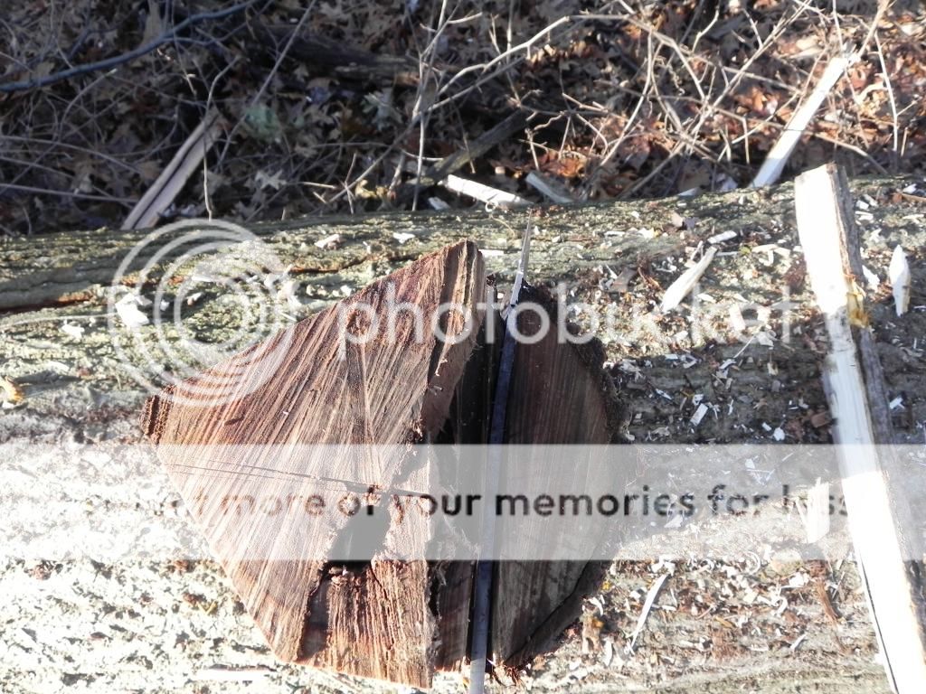 DSCN2597_zps682ab32a.jpg