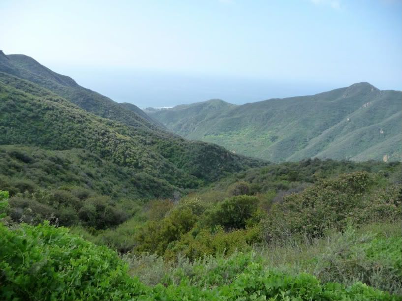 SoCal2011210.jpg