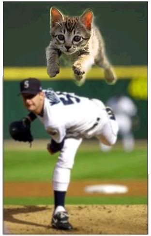 BaseballKitten.jpg