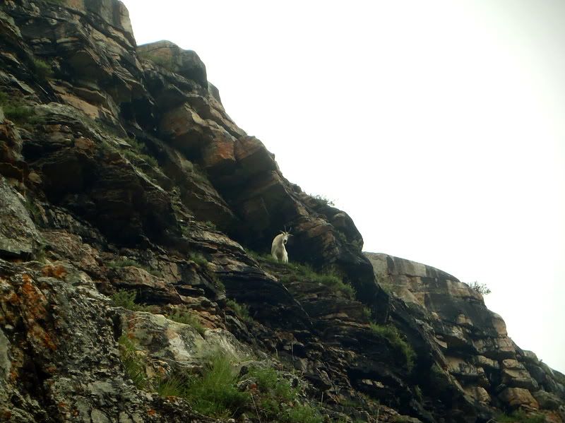 Banff2012179.jpg