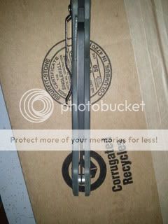 WP_000092.jpg