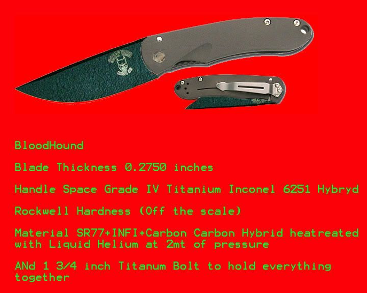 Bloodhound.jpg