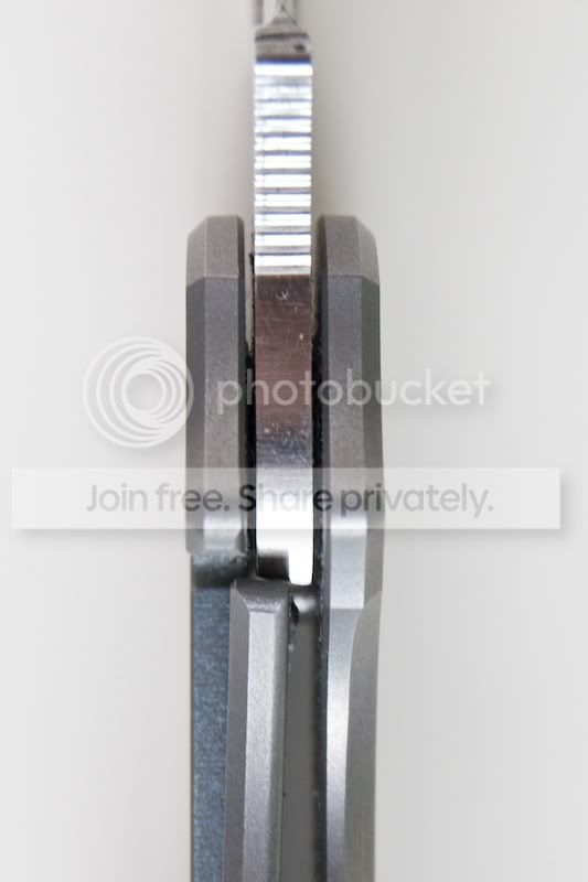 SpydercoSage2_05.jpg