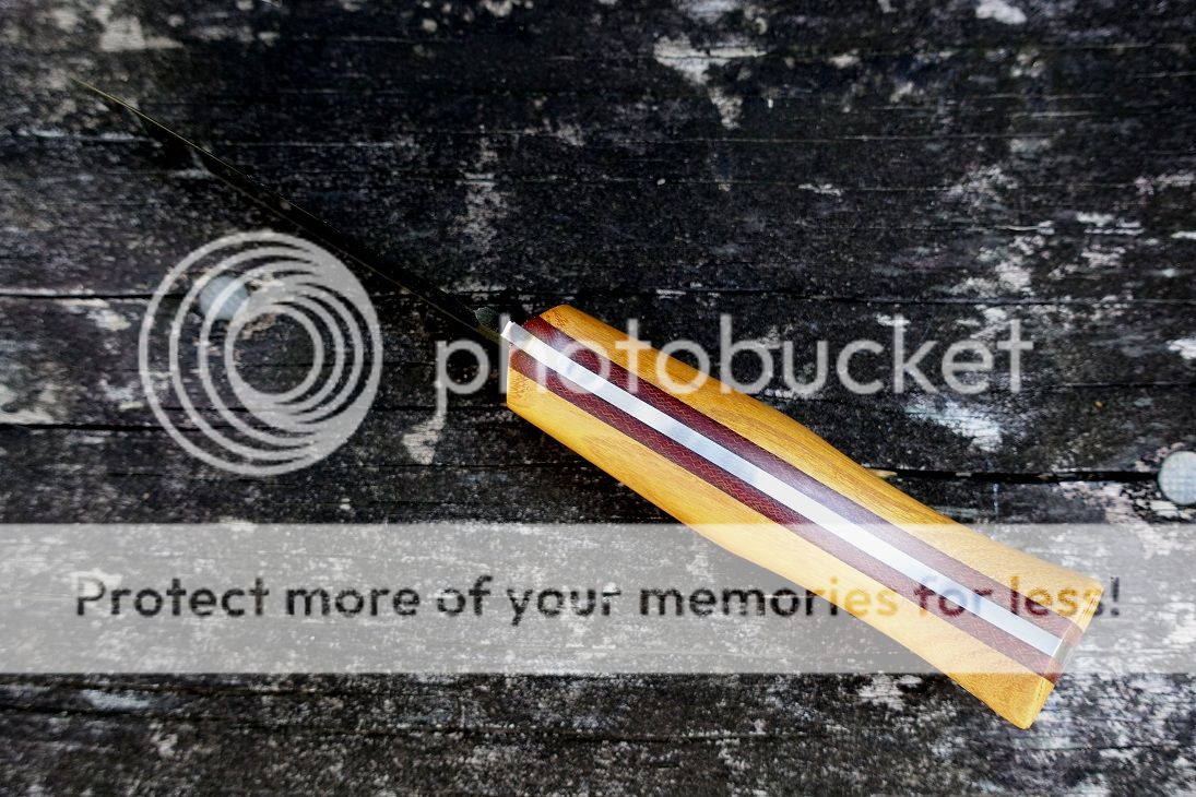 DSC01607_zps9cjhdvq9.jpg