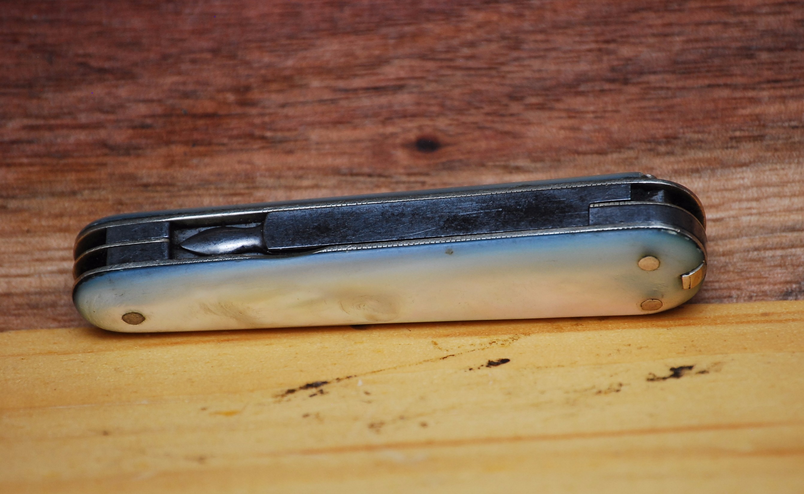 ezP81np.jpg