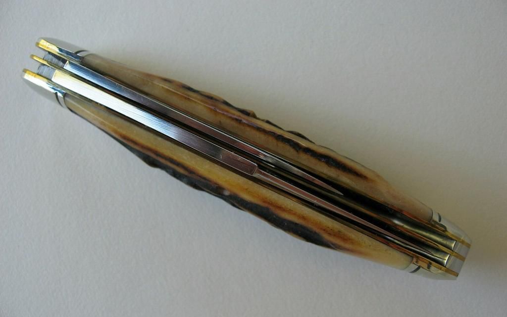 GECAmberStagTeardrop07_zps537be48a.jpg