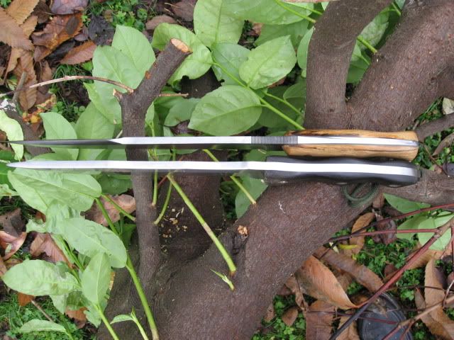 Photo2038.jpg