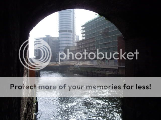 IMGP0811.jpg