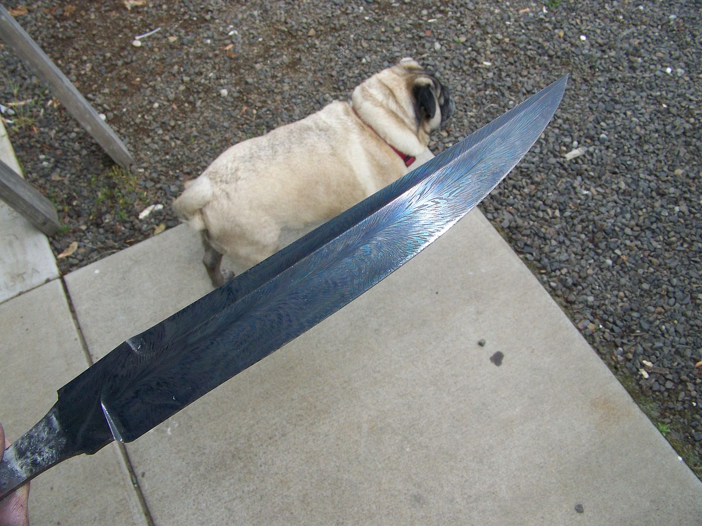 100_6888.jpg