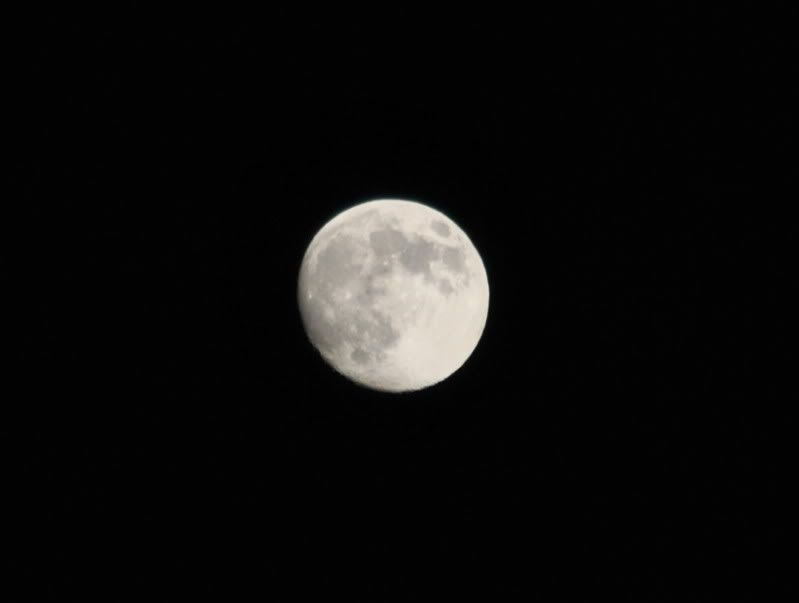 DSC_8536.jpg