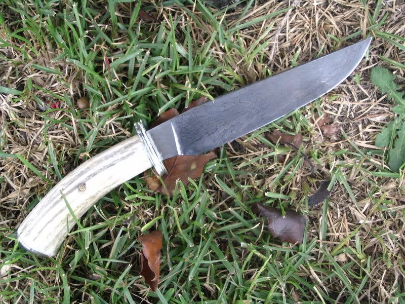 ElkBowie.jpg