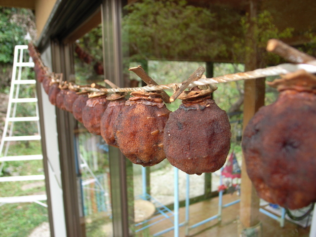 2010.11.09.R0022457.JPG