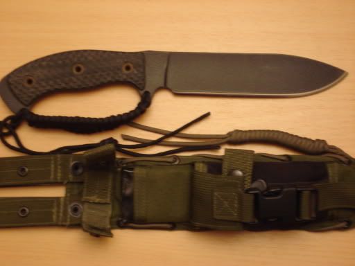 busse6.jpg