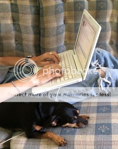 photo2-1.jpg~original