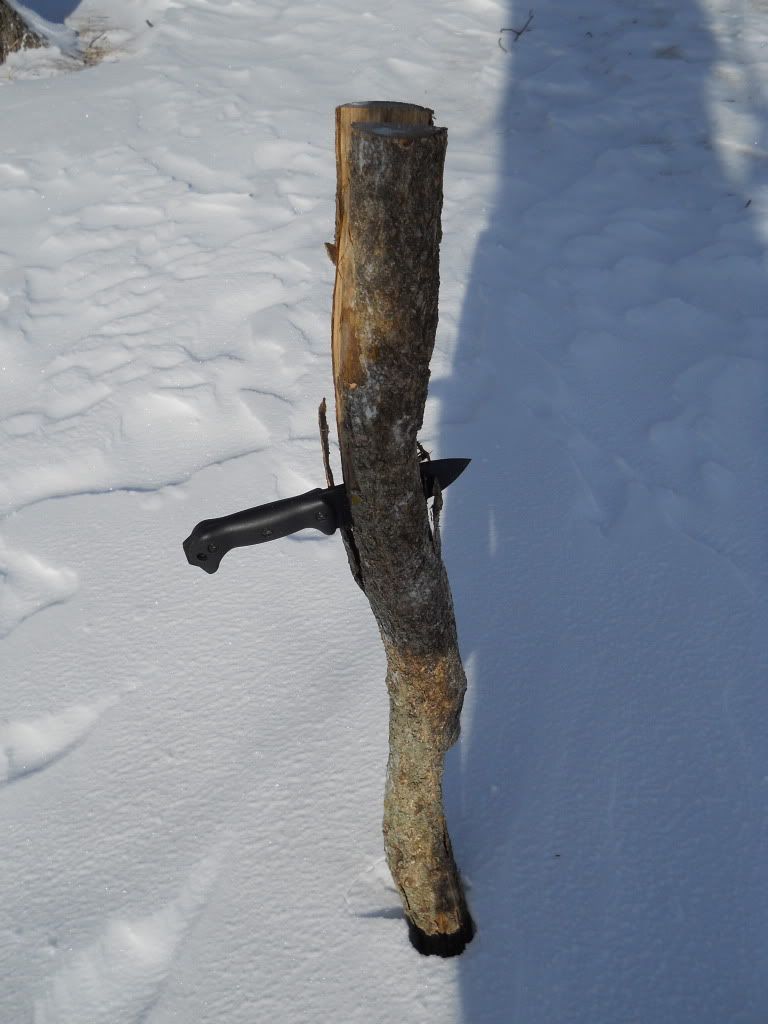 DSCN0378.jpg