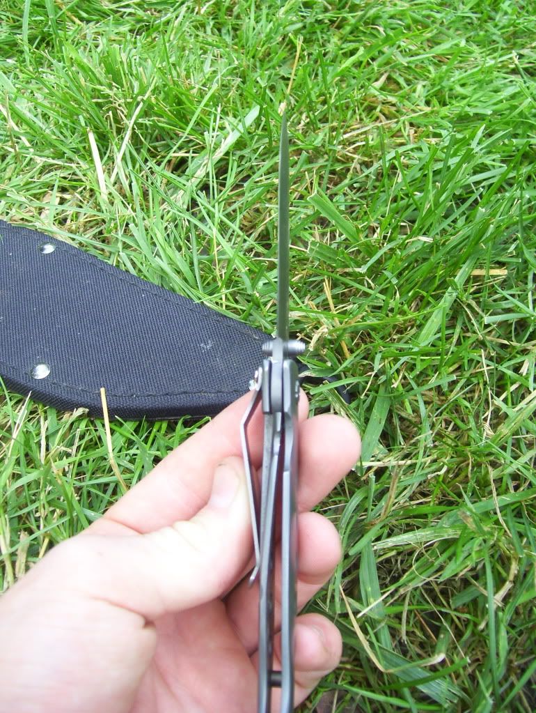 104_1911.jpg