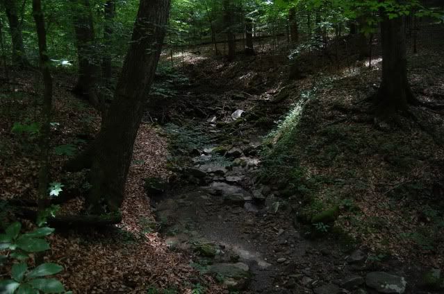 DSC_0524.jpg