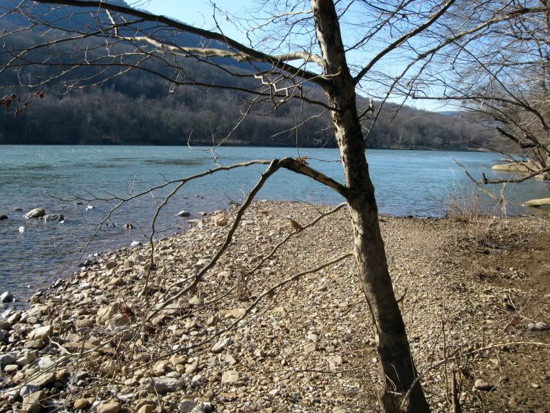 IMG_9896.jpg