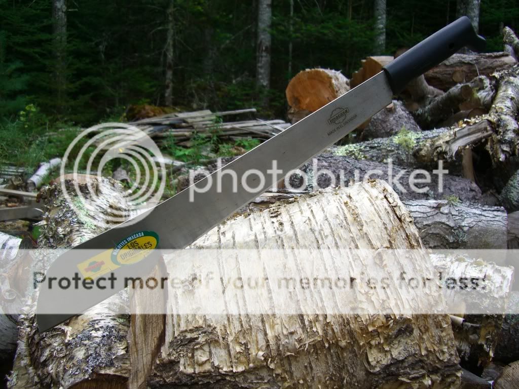 CIMG8167.jpg