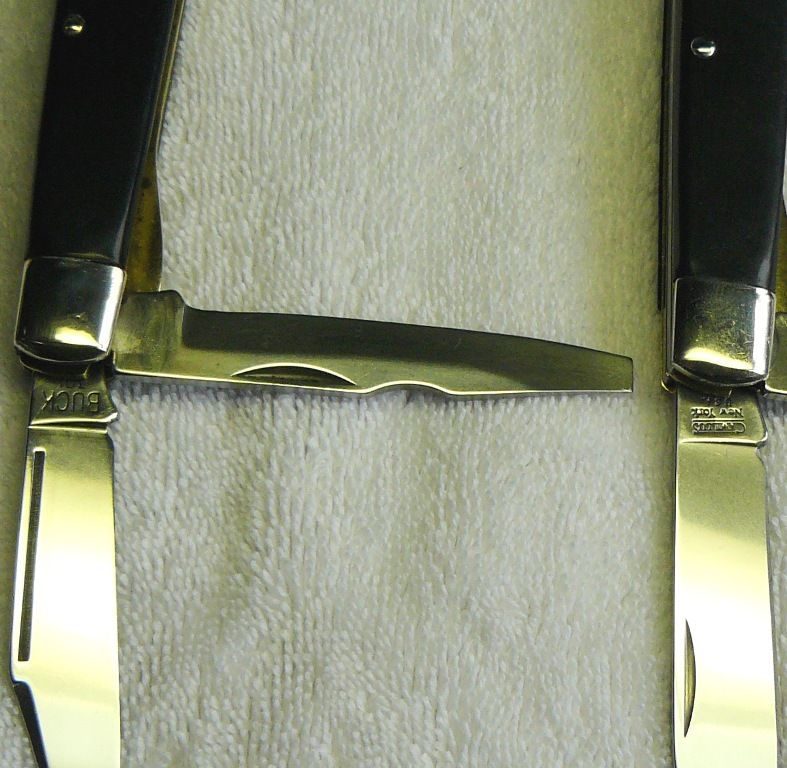 04-20-2012TL-29BuckvsCamillus005.jpg
