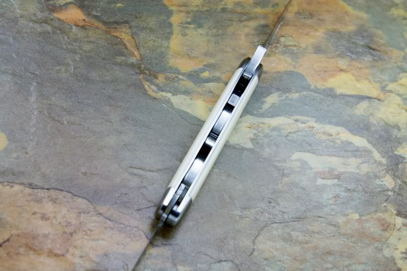 ivory4.jpg