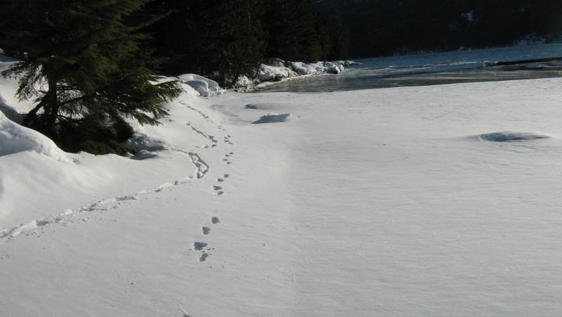 begbiewalk038.jpg