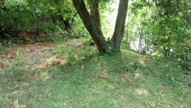 2014-08-07_16-58-40_174_zps1a01caef.jpg