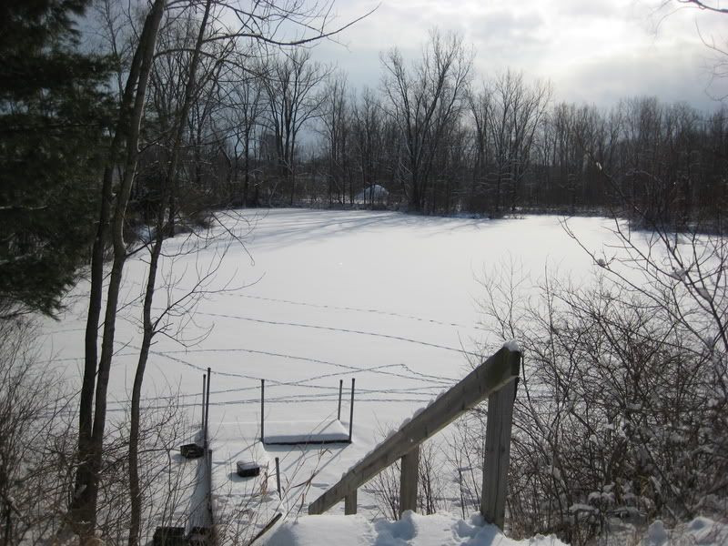 january82009001.jpg