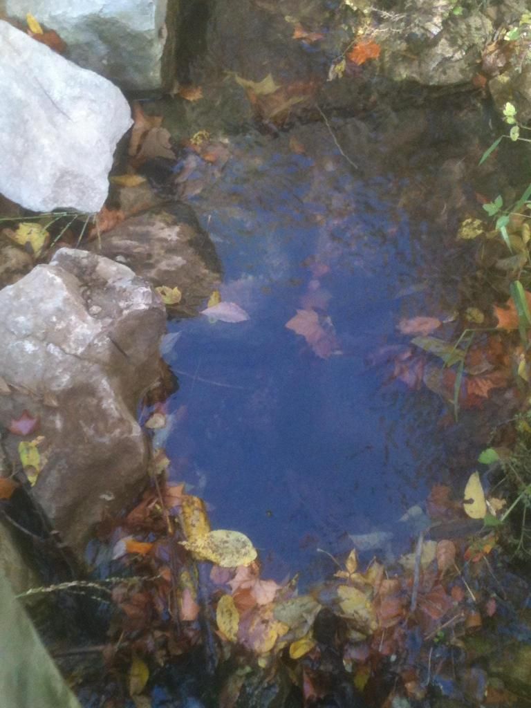 Hike1_zps02b92fc9.jpg