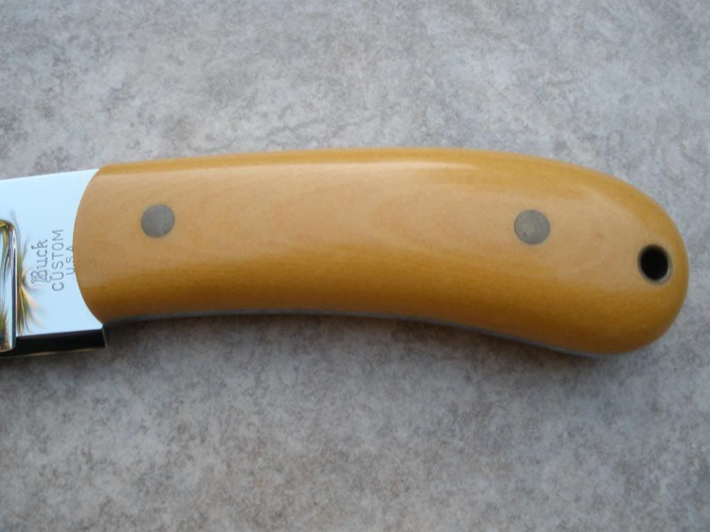 PB210916.jpg