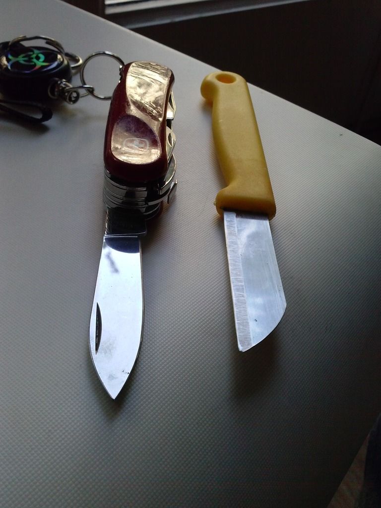 CAM01392_zpsxjloih7z.jpg