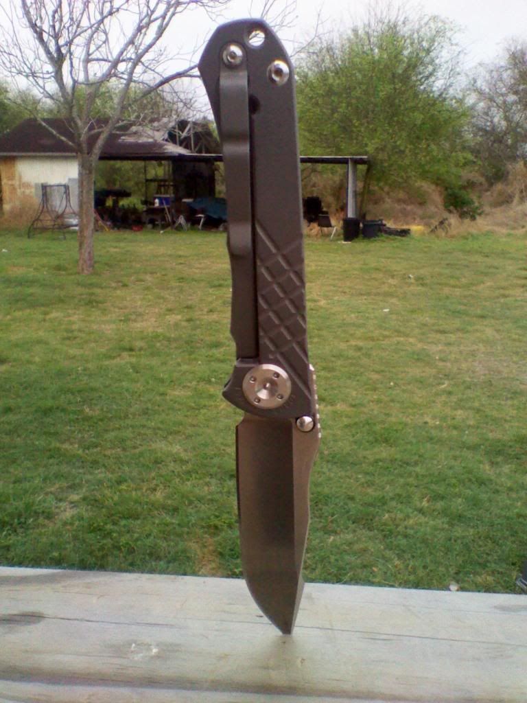 2011-03-16080527.jpg