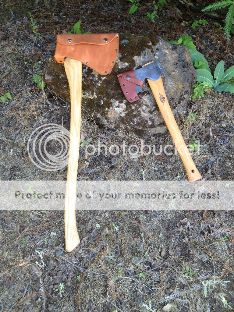 IMG_0964.jpg