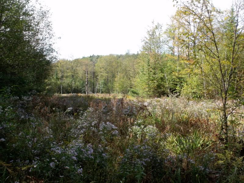 DSCF3853.jpg