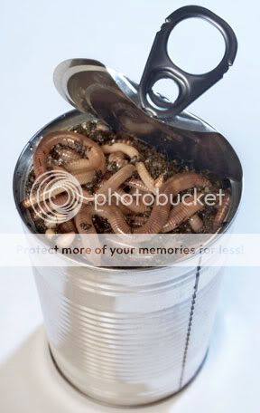 can20of20worms.jpg