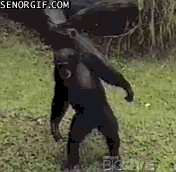 gimme1.gif