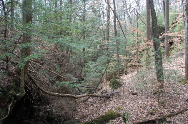 DSC_0050.jpg