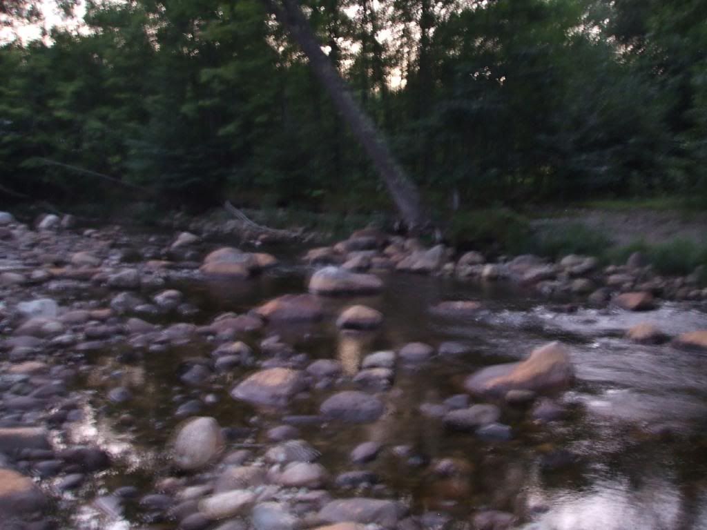 DSCF1397.jpg