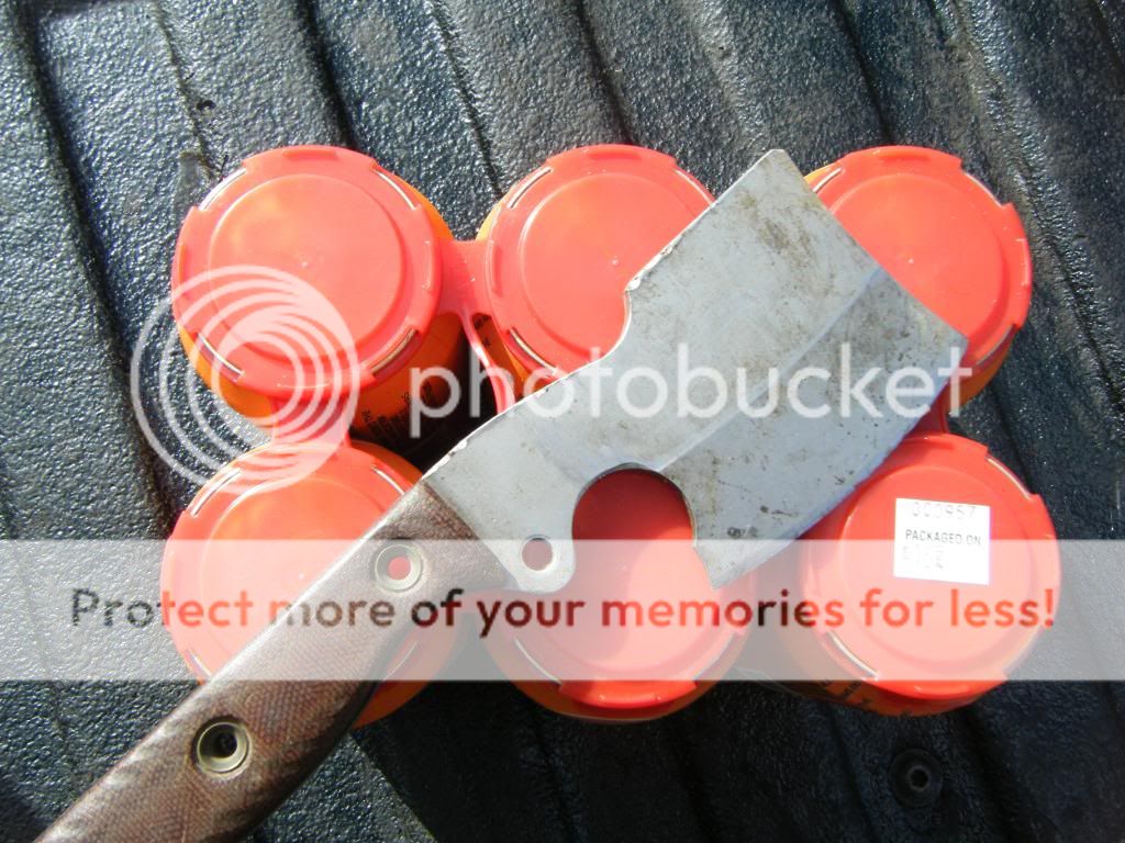DSCF1127.jpg
