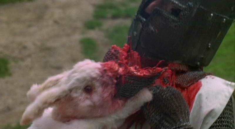 Rabbit-monty-python-380150_800_441.jpg