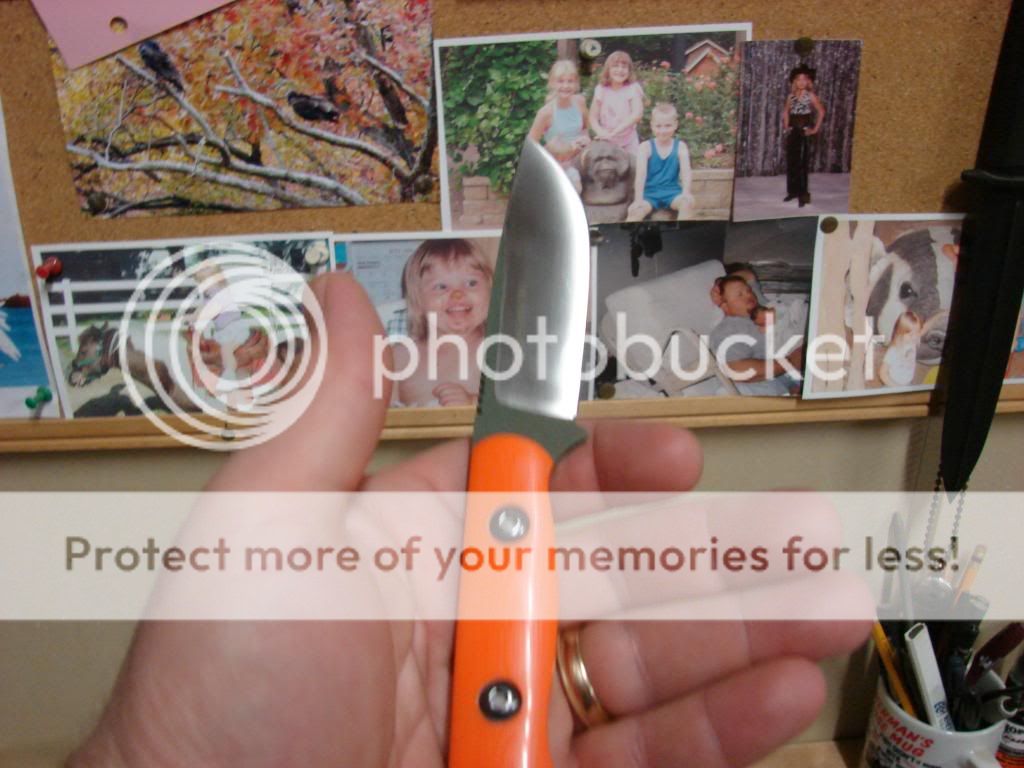 bravonecker2031.jpg