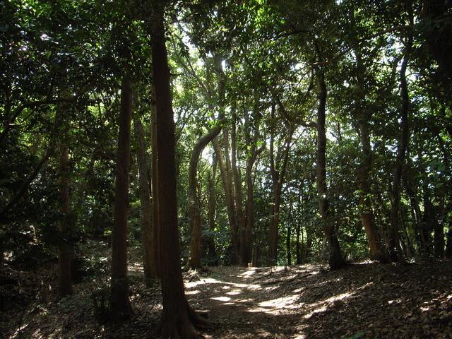 2009.08.11.r0019021.jpg